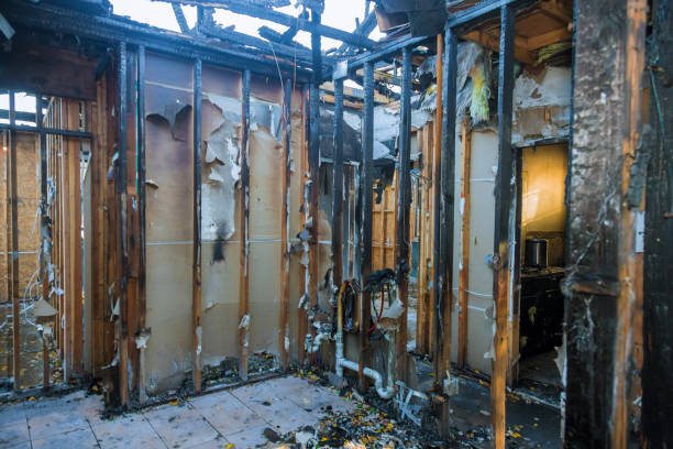 Professional Fire Damage Removal technician working in Levelland, TX